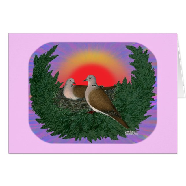 Cartão Colchões de ninho (Frente horizontal)