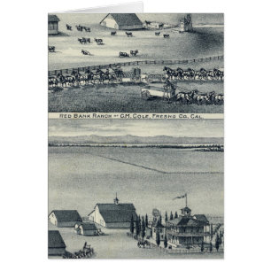 Cartão Cole Ranches