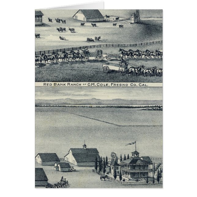 Cartão Cole Ranches (Frente)
