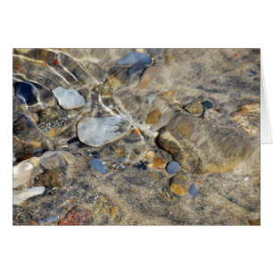 Cartão Coleção "Bei e Fluxo"