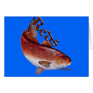 Cartão Coleção da água salgada dos peixes