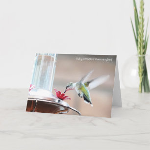 Cartão Coleção de Aves: Hummingbird (notas de vazio)