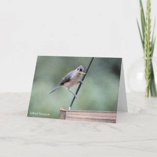 Cartão Coleção de aves: Titmouse tufado (notas de vazio
