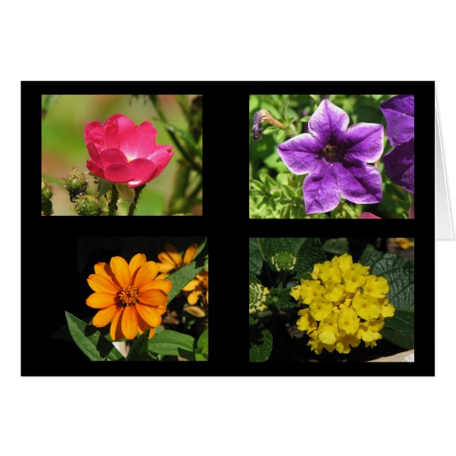 Cartão Coleção de Flores bonito (Frente Horizontal)