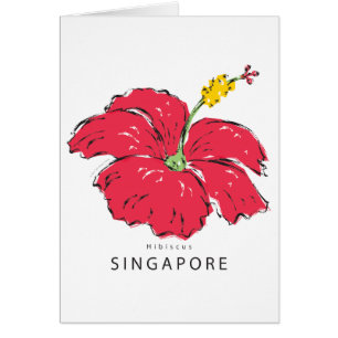 CARTÃO COLEÇÃO DE HIBISCUS SINGAPURA