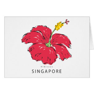 CARTÃO COLEÇÃO DE HIBISCUS SINGAPURA