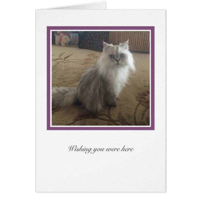 Cartão Coleção Ki # 1 (Frente)