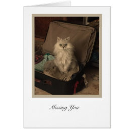 Cartão Coleção KiKi