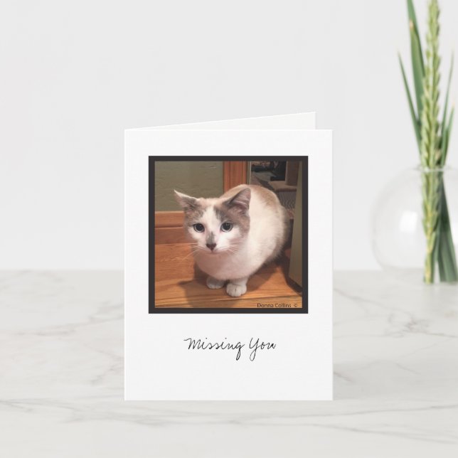 Cartão Coleção Kit nº 1 (Frente)