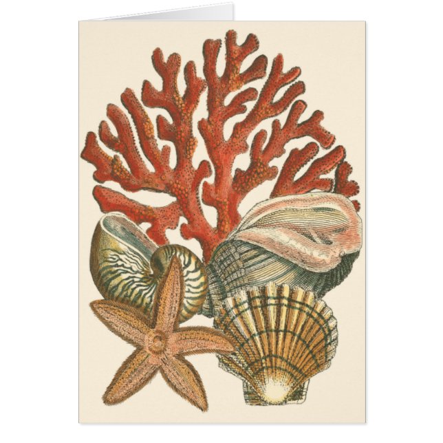 Cartão Coleção Sealife (Frente)