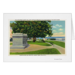 Cartão Coles Hill View of Mayflower Burial Monument