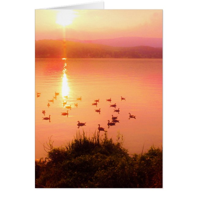 Cartão Coletor solar rosa e pêssego (Frente)