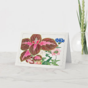 Cartão Coleus, Verbena, de Tanigami Konan