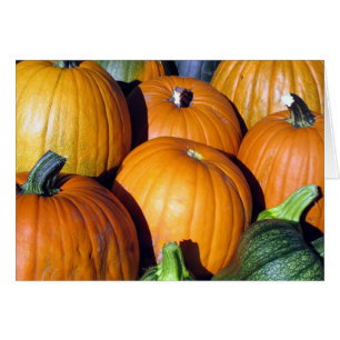Cartão Colheita da abóbora