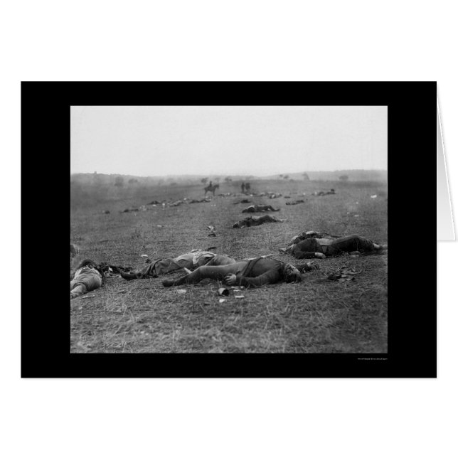 Cartão Colheita da Morte em Gettysburg, PA 1863 (Frente Horizontal)