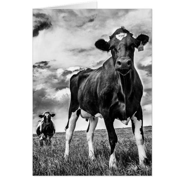 Cartão Colheita de espera de BW (Frente)