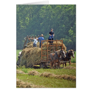 Cartão Colheita de feno Amish