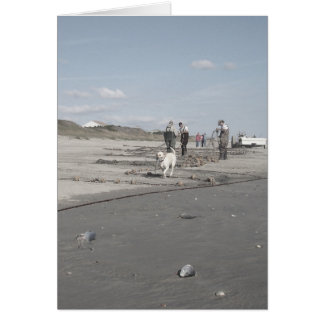 Cartão Colheita de outono