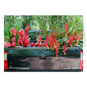 Cartão Colheita de Tropicais Havaianos