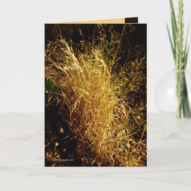 Cartão Colheita dourada (Frente)