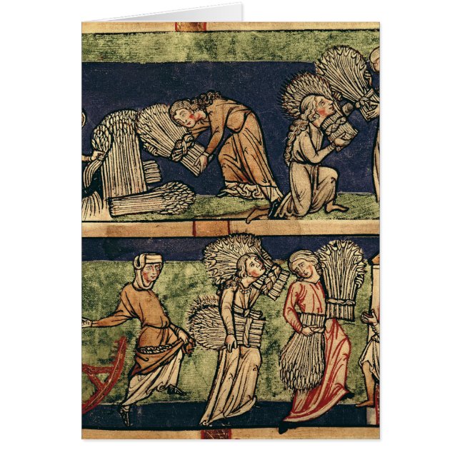 Cartão Colhendo, escola de Rhine (Frente)