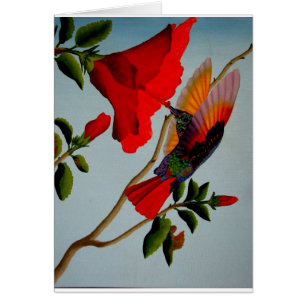 Cartão Colibri