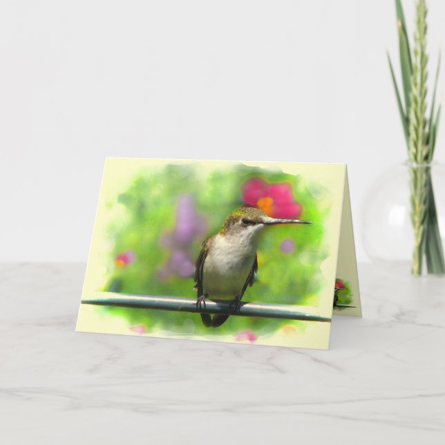 Cartão Colibri (Frente)