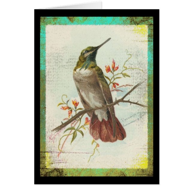 Cartão Colibri do vintage (Frente)