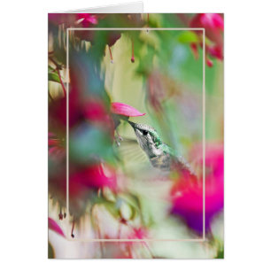 Cartão Colibri no vertical fúcsia macio