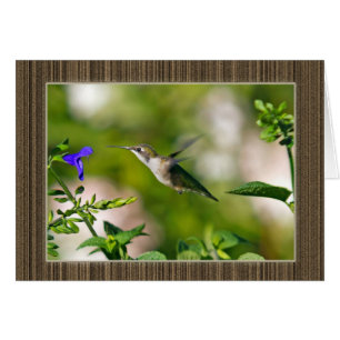 Cartão Colibri quadro