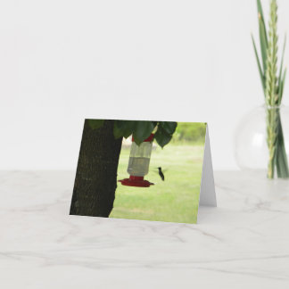 Cartão Colibri solitário