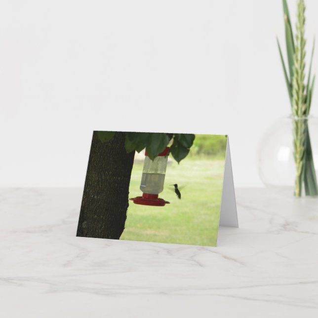 Cartão Colibri solitário (Frente)