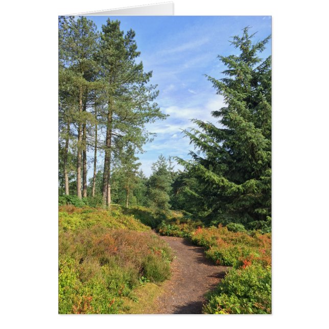 Cartão Colinas de Lickey (Frente)