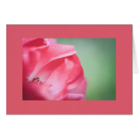 Colírio num rosa