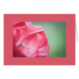 Cartão Colírio num rosa