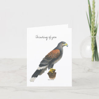 Cartão Collection Falcon Note Card