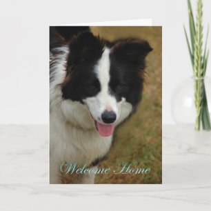 Cartão Collie, bem-vinda a casa. Fico feliz que esteja em