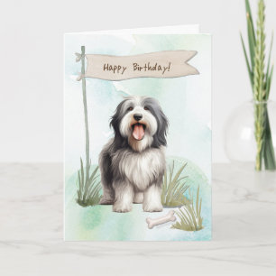 Cartão Collie Breed Dog Sob Sinal De Aniversário