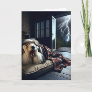 Cartão Collie, com o velho humor de aniversário