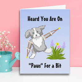 Cartão Collie de recuperação rápida em cruzeiros