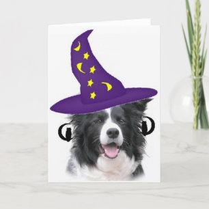 Cartão Collie Ditzy de Dogs~Original Notecard~Border