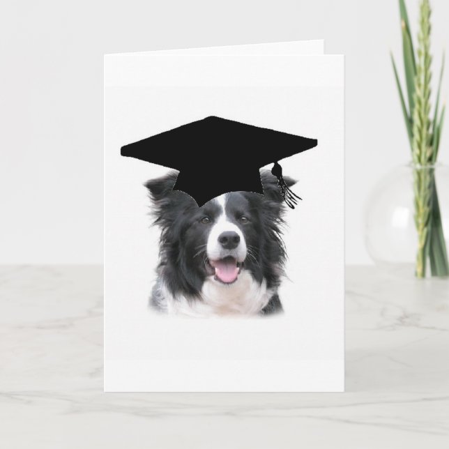 Cartão Collie Ditzy de Dogs~Original Notecard~Border (Frente)