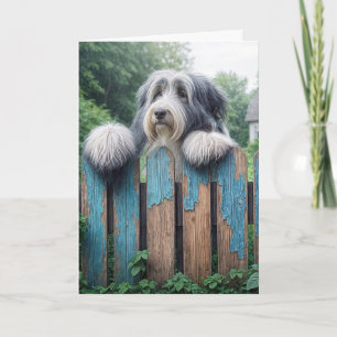 Cartão Collie Happy Birthday