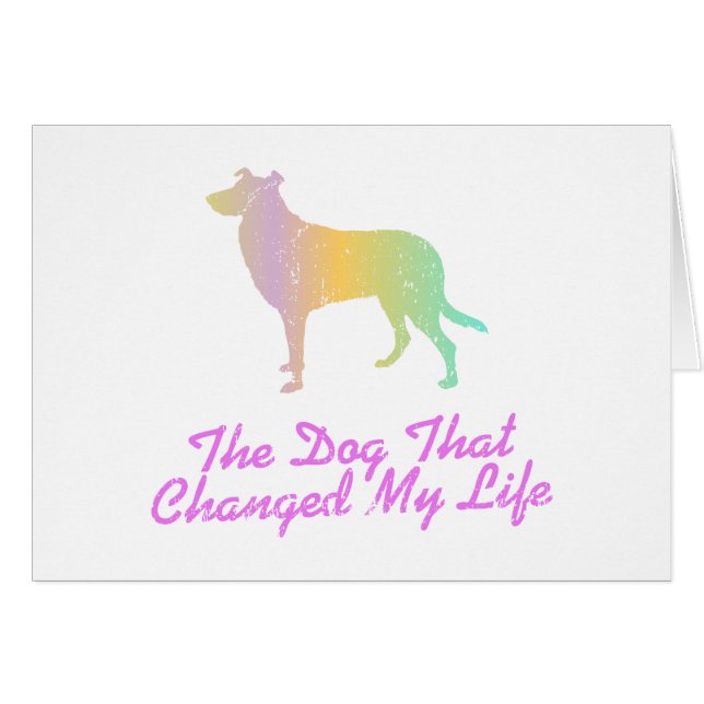 Cartão Collie liso (Frente Horizontal)