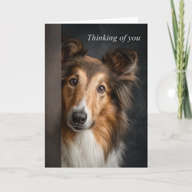Cartão Collie Pensando em Você (Frente)