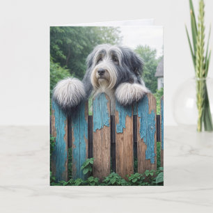 Cartão Collie Pensando em Você