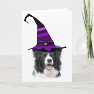Cartão Collie tonto Card~Halloween~Witch de Dogz~Border