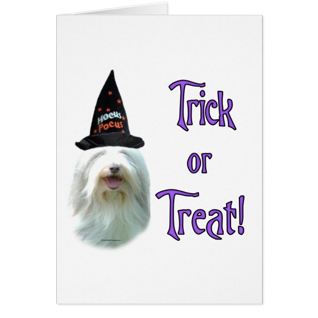 Cartão Collie Trick (Frente)