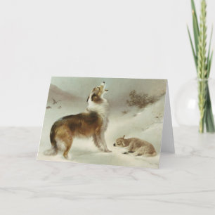 Cartão Collie und Schaf