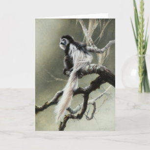 Cartão Colobus Blank Card by Andrew Denman